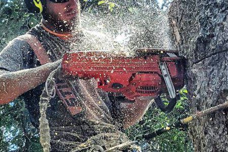 Tree-Experts-Calgary-500x300